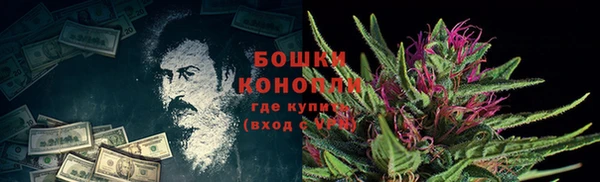 шишки Бугульма