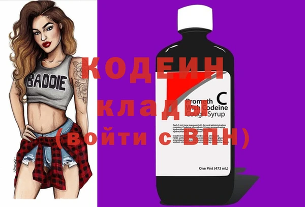 mdpv Бородино