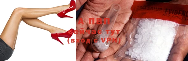 mdpv Бородино