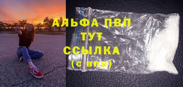 mdpv Бородино