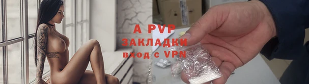 mdpv Бородино