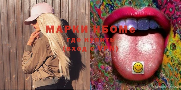 mdpv Бородино