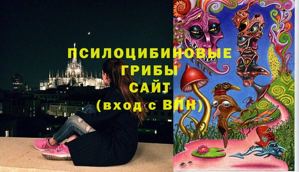 mdpv Бородино