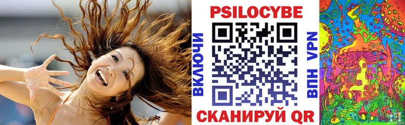 купить   Давлеканово  ОМГ ОМГ маркетплейс  Псилоцибиновые грибы Psilocybe 